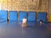 dansecontempo (1)