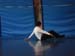 dansecontempo (22)