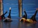 dansecontempo (30)