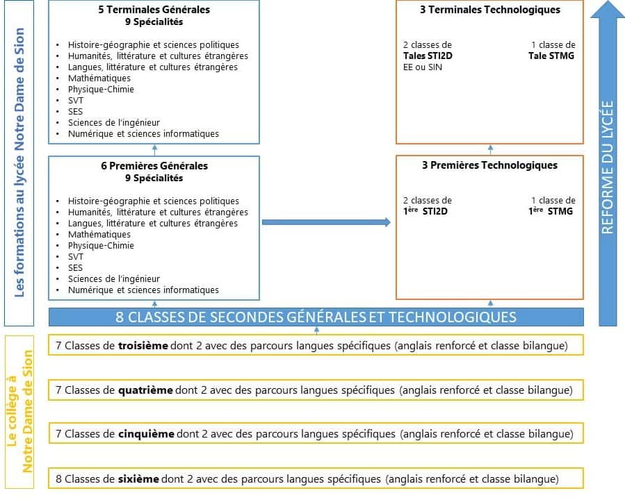 PARCOURS SCOLAIRE - NDS