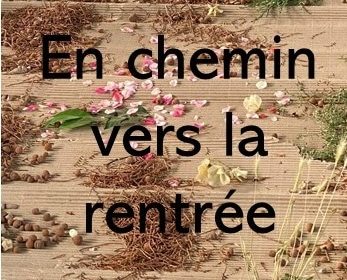 Sur le chemin de la rentrée 2021-2022