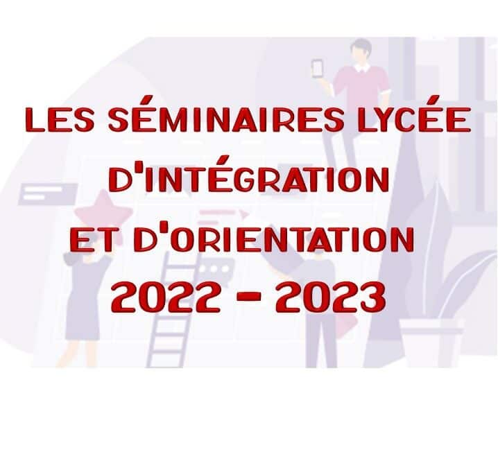 Séminaires lycée intégration orientation